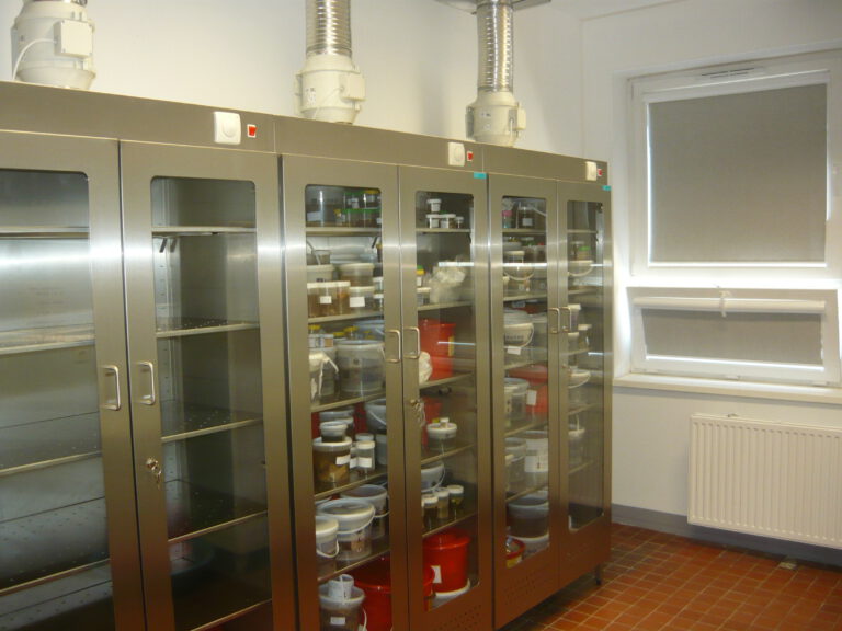 Uniwersytecki Szpital Kliniczny im. WAM